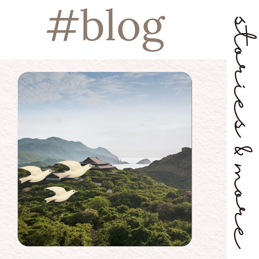 ✨ A little love story in motion… ✨