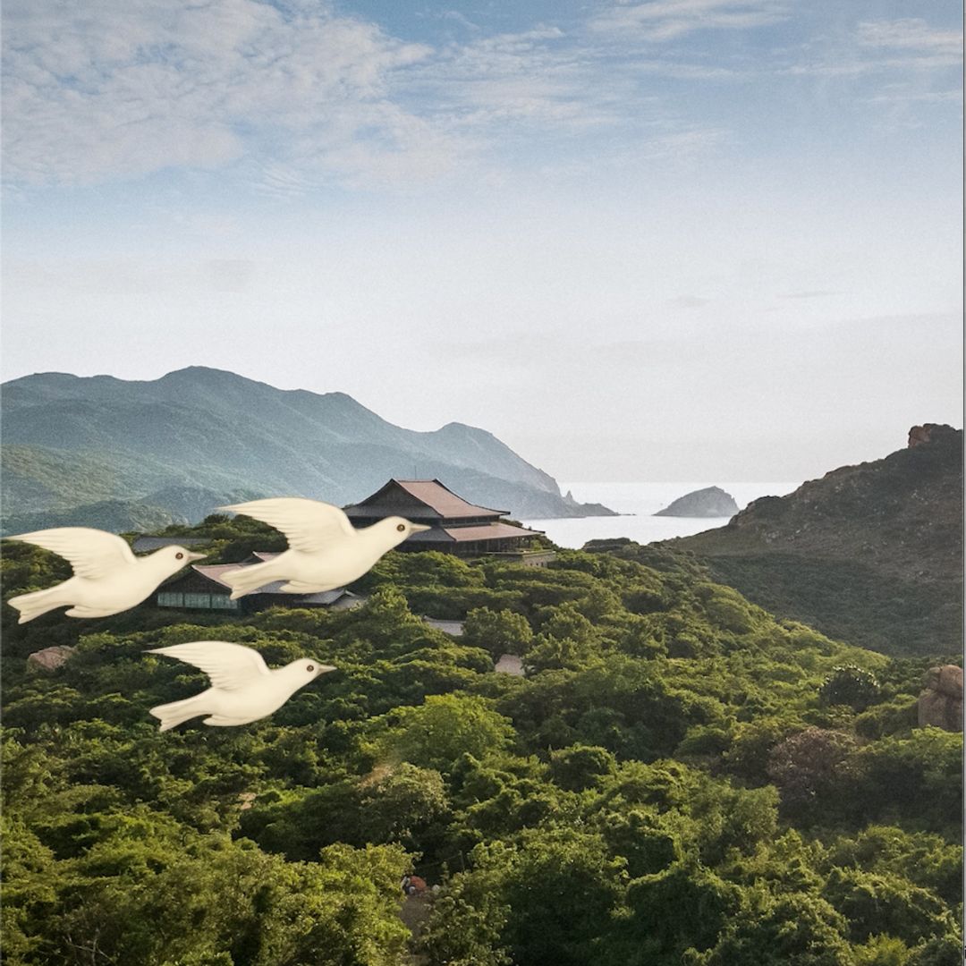 "Her attention to detail and passion for her craft really stood out..."